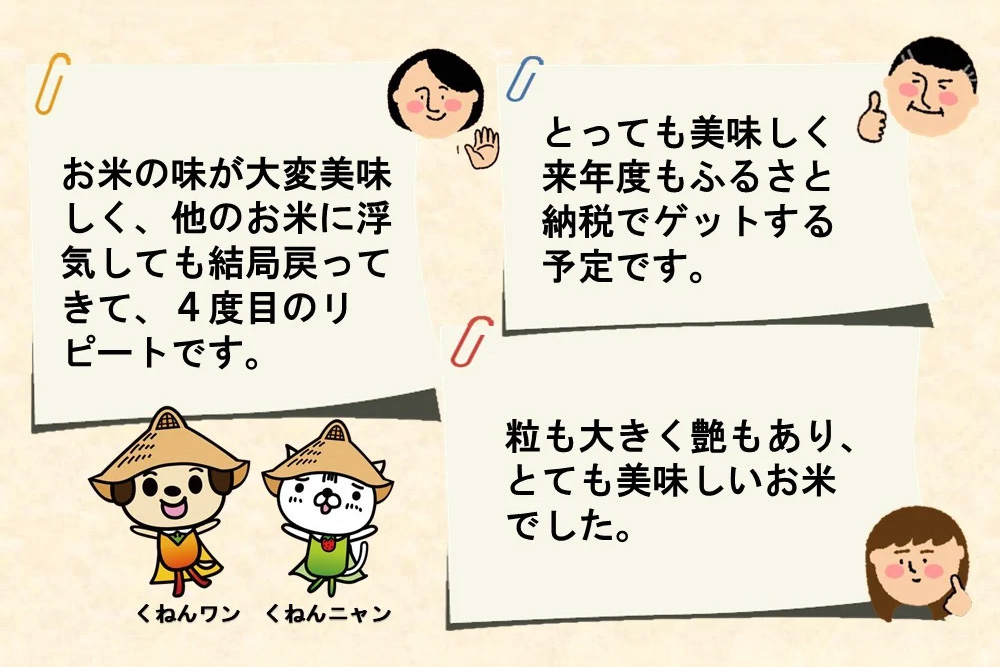 【令和7年産 3ヶ月定期便】ごはんソムリエが厳選 無洗米 さがびより 10kg【神埼市産 米 お米 無洗米 白米 10kg 5kg×2 3回 さがびより ブランド米 食味鑑定士】(H063149)