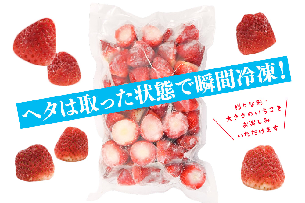 冷凍いちご 2kg(いちごさん)【佐賀県産 ブランド 冷凍いちご フレッシュ 冷凍フルーツ スムージー デザート お菓子作り シャーベット 甘い みずみずしい 無添加】(H126102)