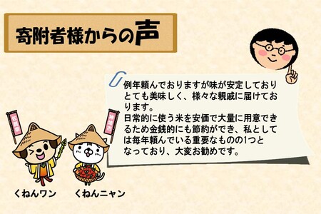 【令和6年産 新米】さがびより 精米 10kg【特A受賞米 米 5kg×2袋 お米 コメ こめ 国産 美味しい ブランド米 人気 ランキング】(H015185)