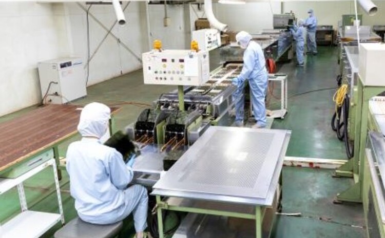 初摘み海苔 BK-33 【のり パリッと 有明海産 旨味 塩味 味付 焼き 極上 絶品 ミネラル 天然塩】(H029118)