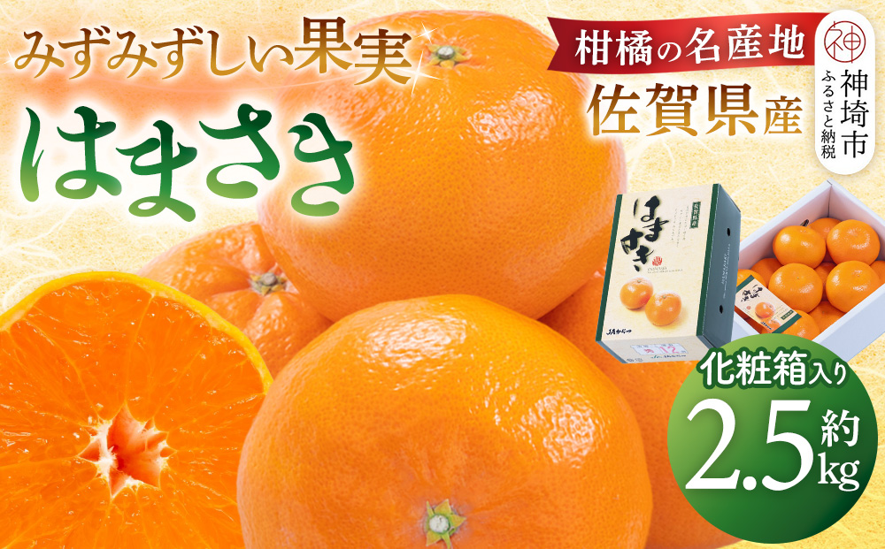 【令和7年2月より発送】佐賀県産柑橘『はまさき』約2500g【化粧箱入り】【果物 フルーツ 柑橘 みかん デザート 贈答 ふるさと納税】(H108108)