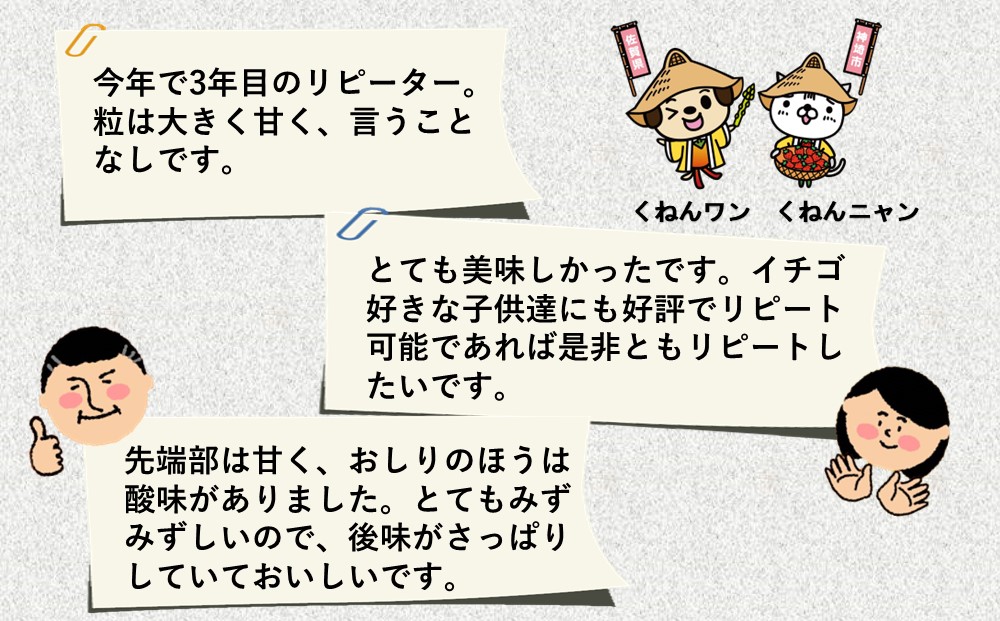 【先行受付 令和8年1月より発送開始】香月さんちのいちご(さがほのか)280g×4パック 【いちご イチゴ 苺 さがほのか 大玉 大粒フルーツ 果物  数量限定 香月農園 佐賀県産】(H017116)