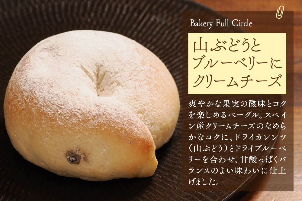 焼きたて直送便 ベーグル10種詰め合わせ【瞬間冷凍 卵不使用 砂糖不使用 油不使用 無添加 低温発酵 ケトリング もちもち おやつ】(H111118)