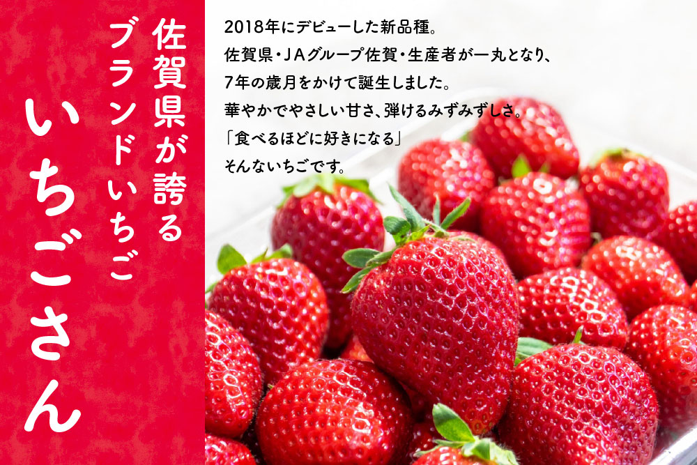 冷凍いちご(いちごさん)3kg(500g×6)【佐賀県 いちごさん 冷凍いちご 新鮮 果実 加工 甘さ 香り デザート スムージー ソース】(H116231)