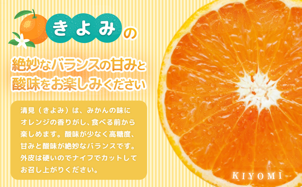 【令和7年3月より発送】佐賀県産柑橘『清見』約5000g【フルーツ 果物 みかん オレンジ 柑橘 デザート ふるさと納税】(H108110)