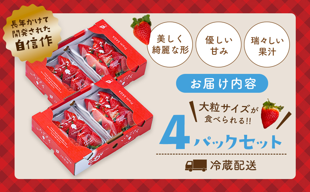 佐賀県産『いちごさん』4Pセット【苺 イチゴ ブランドいちご 大粒 果物 フルーツ デザート ふるさと納税】(H108101)