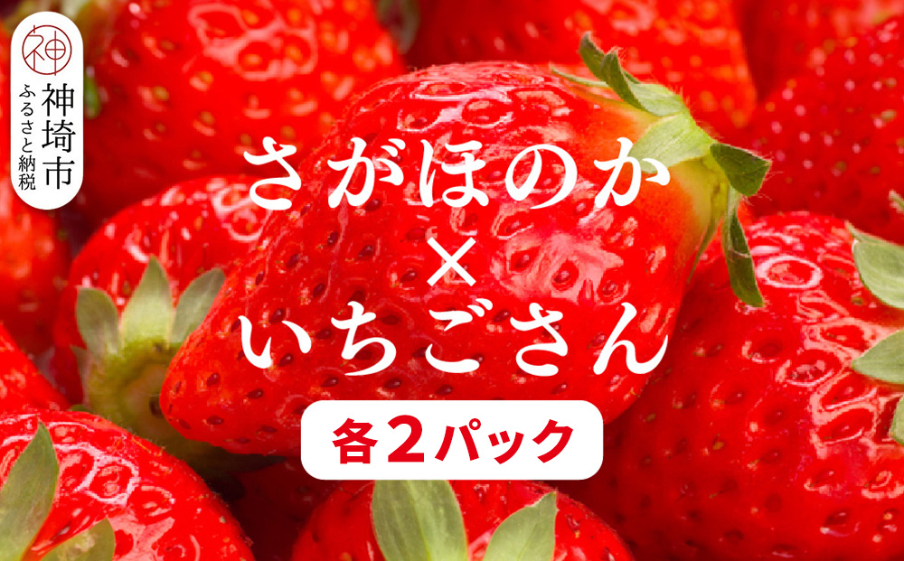 苺(さがほのか・いちごさん)各2パック【果物 くだもの フルーツ イチゴ 佐賀】(H116136)