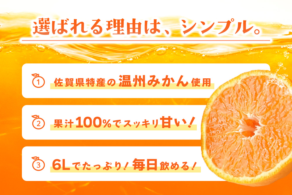 みかん100 1L×6本入り【みかんジュース 蓋付 天然 果汁100％】(H116234)