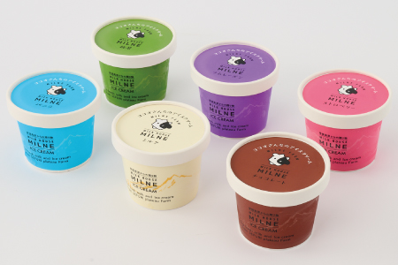 『ミルン牧場のアイスクリーム』10個詰め合わせ(ミルク・チョコレート・ストロベリー・ラムレーズン×2、抹茶・バニラ×１)(H102117)