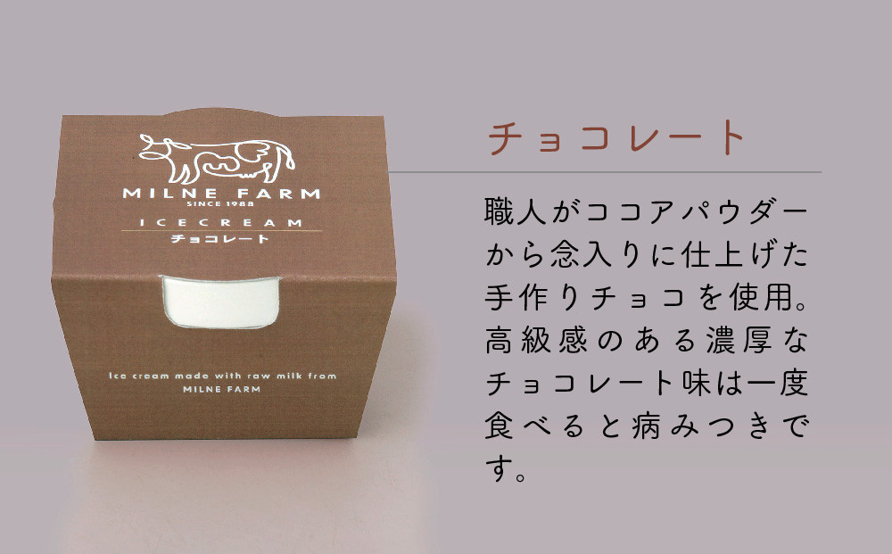 佐賀脊振高原ミルン牧場のアイスクリーム12個セット【手作り 濃厚 生乳 ミルク バニラ 抹茶 チョコ ストロベリー ラムレーズン】(H102125)