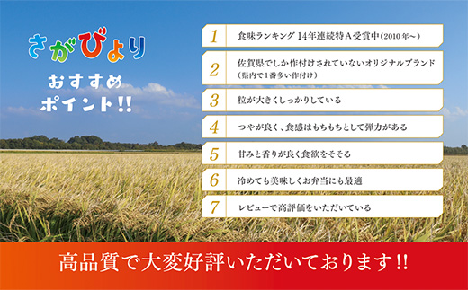 【令和6年産 新米】さがびより 精米 10kg【特A受賞米 米 5kg×2袋 お米 コメ こめ 国産 美味しい ブランド米 人気 ランキング】(H015185)