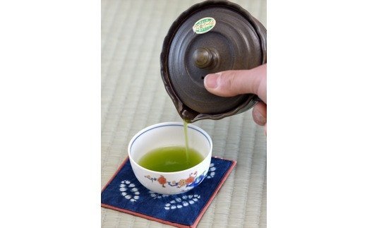 【毎月お届け12回】特上煎茶八重100g2本と季節の茶100g1本(急須付き) 【定期便 九州 お茶 緑茶 急須 フィルターインボトル 定期便】(H047113)