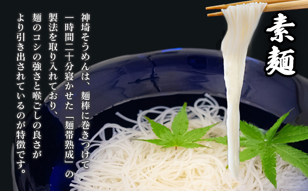 神埼めんセット(そうめん4袋・蕎麦2袋) 5カ月定期便【素麺 そば 麺 神埼そうめん のどごし 贈答 ギフト お中元 お歳暮】(H110103)