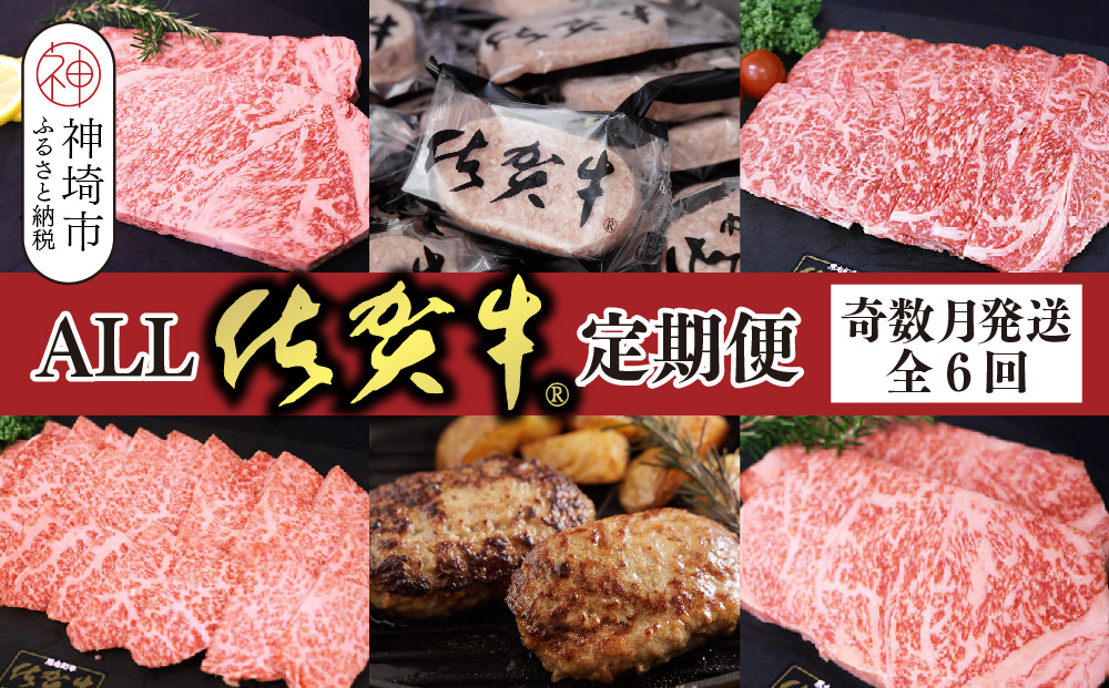 【奇数月発送 全6回定期便】ALL佐賀牛定期便【サーロインステーキ 赤身焼き肉 ハンバーグ カルビ焼肉 100%ハンバーグ ロースステーキ バラエティ豊か】(H118111)