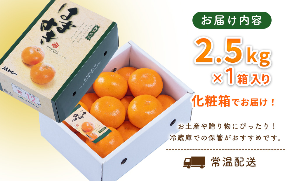 【令和7年2月より発送】佐賀県産柑橘『はまさき』約2500g【化粧箱入り】【果物 フルーツ 柑橘 みかん デザート 贈答 ふるさと納税】(H108108)