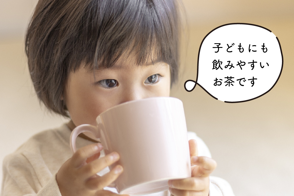 【フィルターインボトル付き】お子茶ま。ティーパック(10g×15P入り)×2袋 【煎茶 嬉野茶 水出し煎茶 水出し茶 田中茶舗 佐賀県】(H047127)