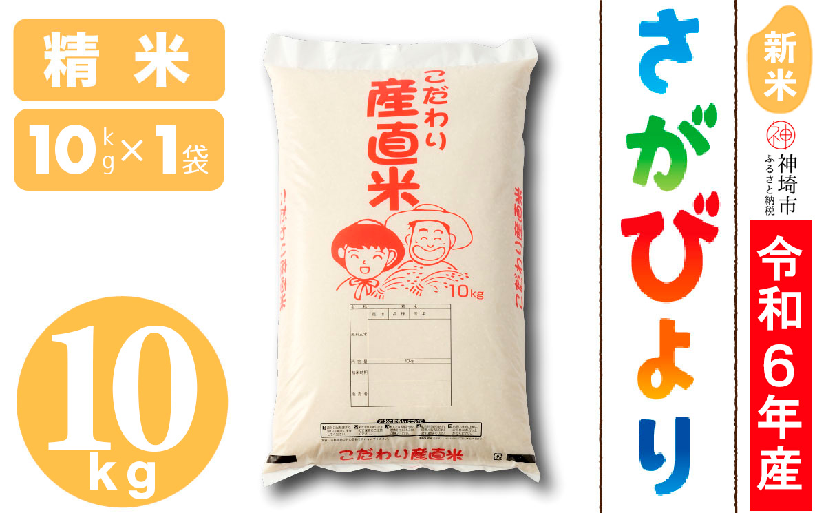 【令和6年産 新米】さがびより 精米 10kg 【米 10kg お米 コメ おいしい ランキング 人気 国産 ブランド 地元農家】(H061345)