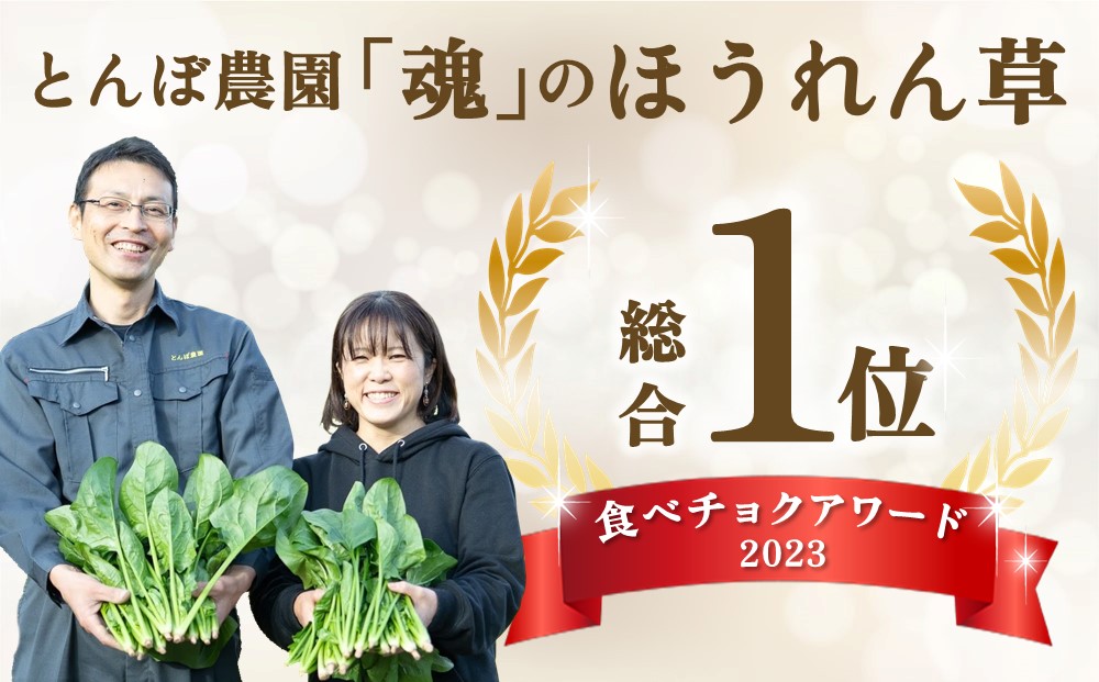 ほうれん草 約3kg（150g x 20袋）【ハウス栽培 産地直送 クール便 佐賀県脊振山麓産】(H091115)