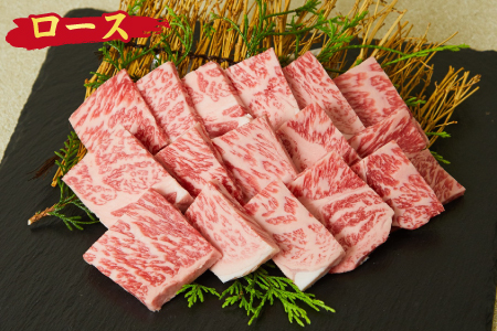 佐賀牛 ロース 焼肉用 500g A5 A4 【希少 国産和牛 牛肉 肉 牛 焼肉 リブロース】(H085128)