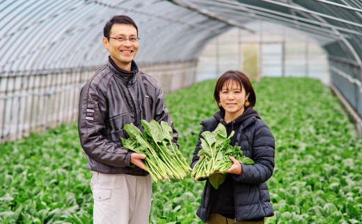 【先行受付 10月より順次発送】ほうれん草 2kg バラ詰め（大きな袋に2kg）【ハウス栽培 産地直送 クール便 佐賀県脊振山麓産】(H091117)