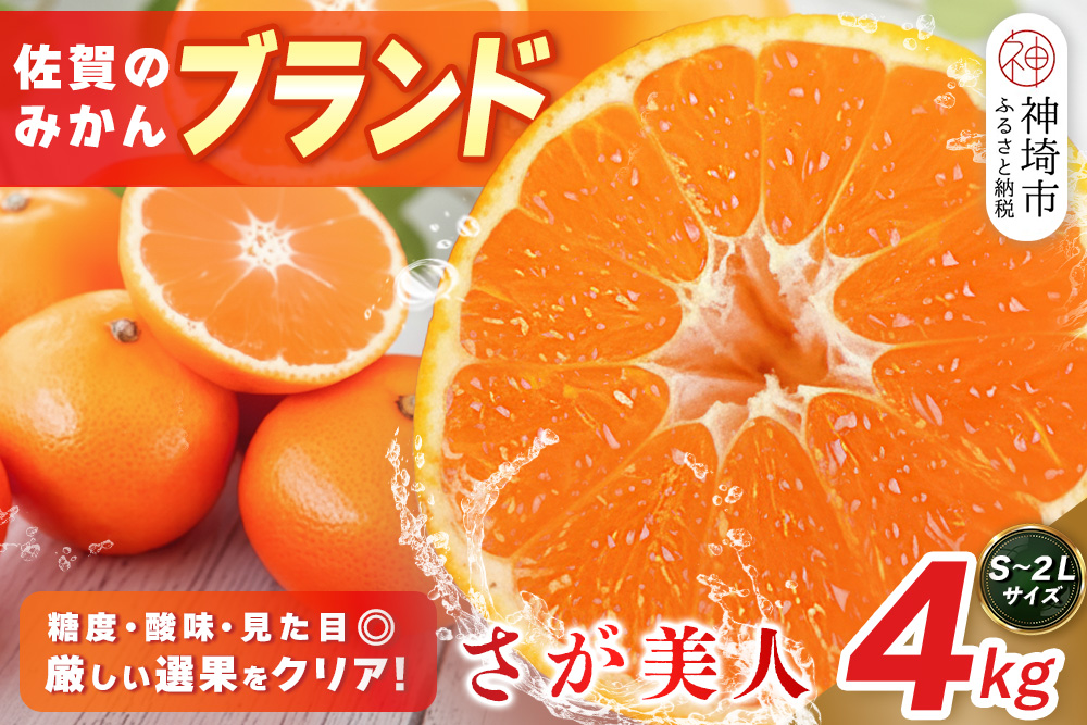 【2026年10月上旬より発送開始】佐賀美人(みかん) 4kg S〜2Lサイズ【みかん ブランドみかん 柑橘 酸味 フルーツ デザート】(H116142)
