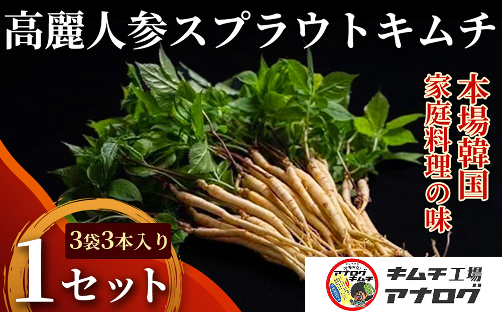 熟成秘伝の高麗人参スプラウトキムチ(1本入り×3袋)【エナキム 健美キムチ 健康志向 熟成キムチ ご飯のお供 発酵食品 手作り 辛味控えめ 国産素材】(H104191)