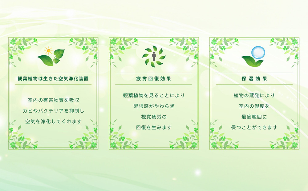 オリジナルアレンジ観葉植物　Lサイズ【寄せ植え インテリア リビング 室内 グリーン 植物 癒し リフレッシュ】 (H086106)