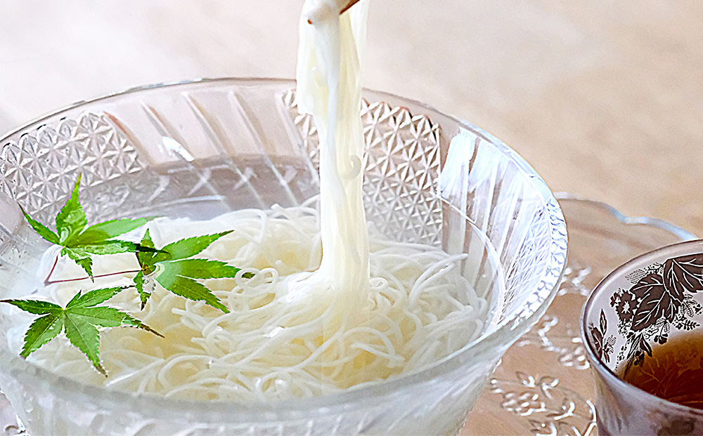 神の白糸「神そうめん」10袋入【神埼そうめん 素麺 SDGs 佐賀県産 夏 ギフト お中元 贈り物 乾麺 保存食 井上製麺】(H057134)