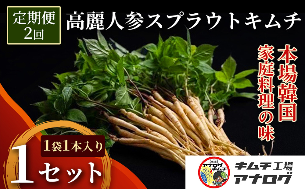 【2カ月定期便】熟成秘伝の高麗人参スプラウトキムチ(1本入り×1袋)【エナキム 健美キムチ 健康志向 熟成キムチ ご飯のお供 発酵食品 手作り 辛味控えめ 国産素材】(H104183)