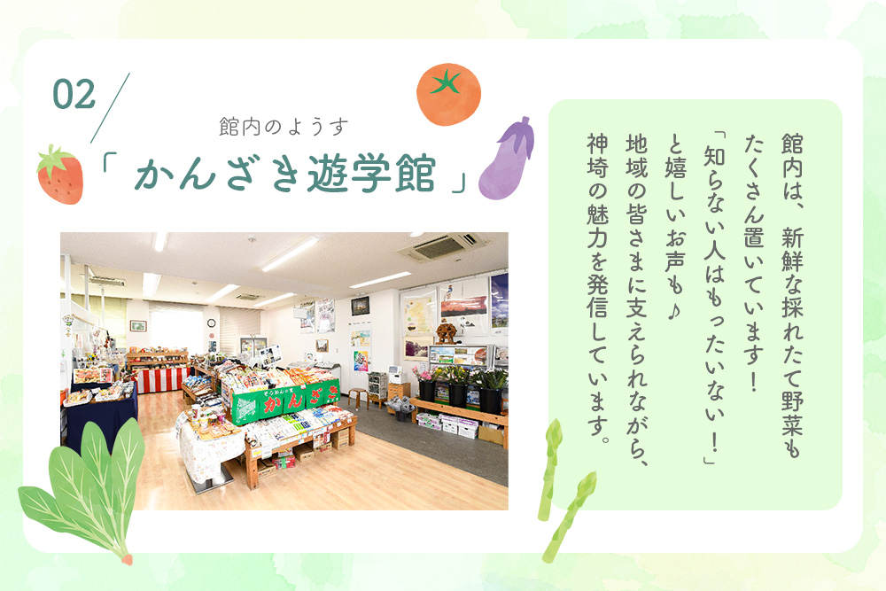せふり柚子胡椒味くらべ2本セット【せふり 柚子胡椒 味比べ セット】(H059122)