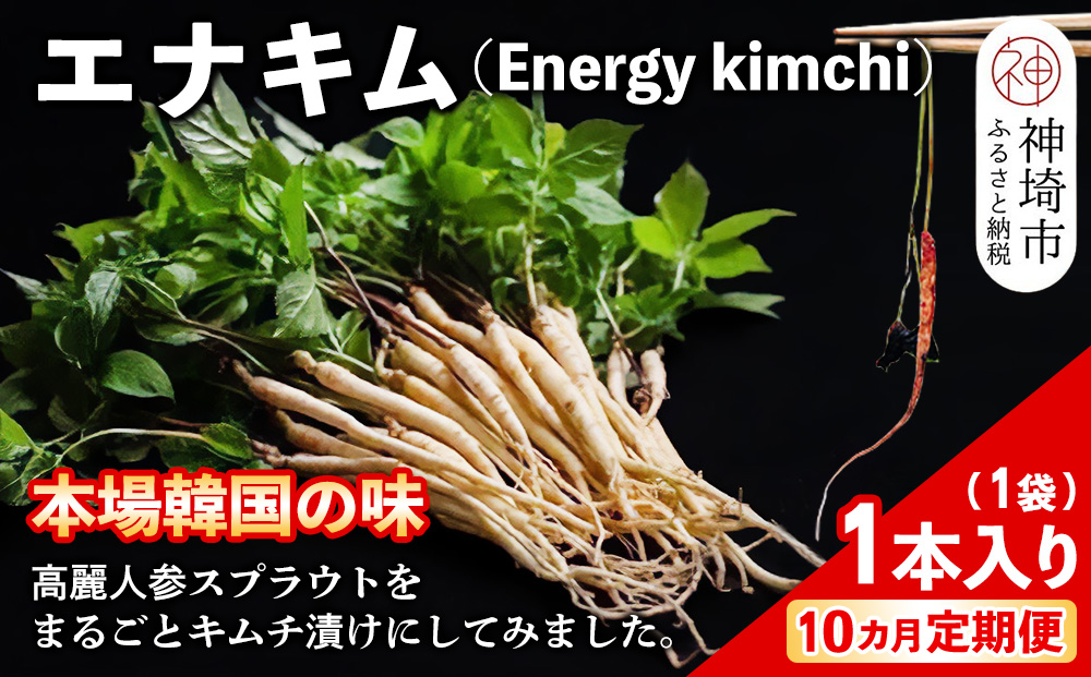 【10カ月定期便】【一子相伝】秘伝のエナキム(高麗人参スプラウト・キムチ)1袋1本入り【本場の味 秘伝の味 韓国 ピリ辛 健康志向 滋養強壮】(H104145)