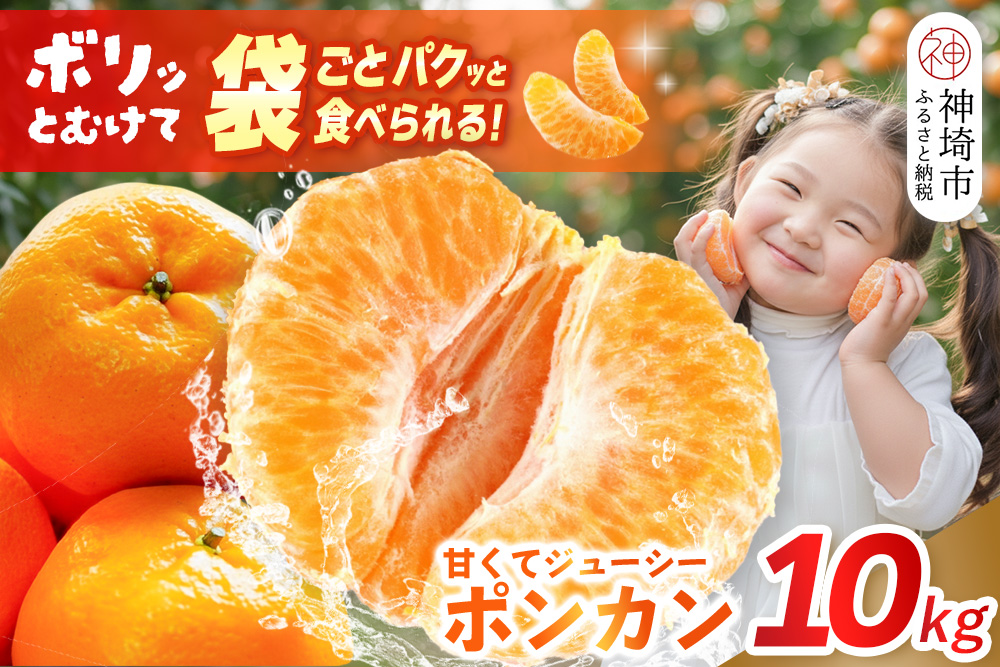 【2027年1月中旬より発送開始】ポンカン 10kg【みかん 柑橘 フルーツ デザート 貯蔵 高糖度】(H116147)