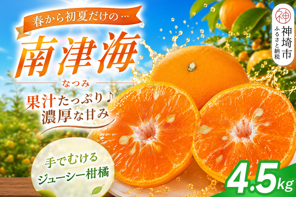 【2027年4月上旬より発送開始】南津海(なつみ)みかん 4.5kg【みかん 柑橘 オレンジ ポンカン フルーツ デザート 果汁】(H116156)