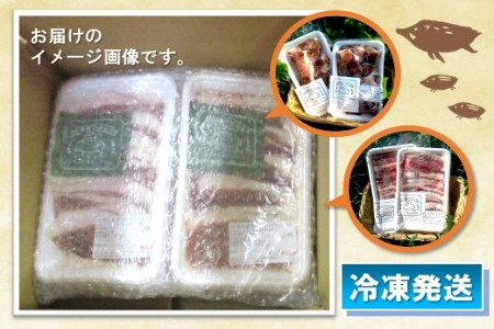 脊振ジビエ イノシシ肉バラエティセット 約1.4kg【脊振 ロース ばら 肩ロース ミンチ カレー 鍋 セット】(H059118)