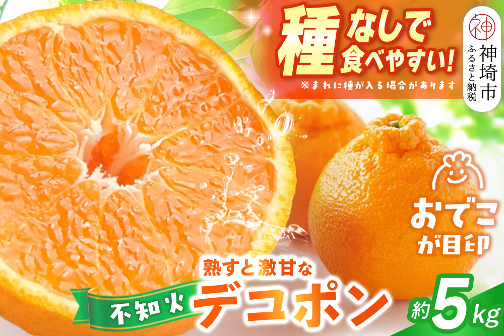【2027年1月中旬より発送開始】不知火(デコポン) 約5kg【みかん 柑橘 清美 ポンカン フルーツ デザート】(H116137)