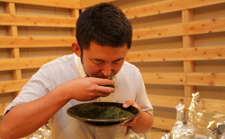 普段使いに「煎茶」200g×4本・茶缶付き 【佐賀県産 銘茶 嬉野茶 知覧茶 まろやか コク 香り お徳用】(H047102)