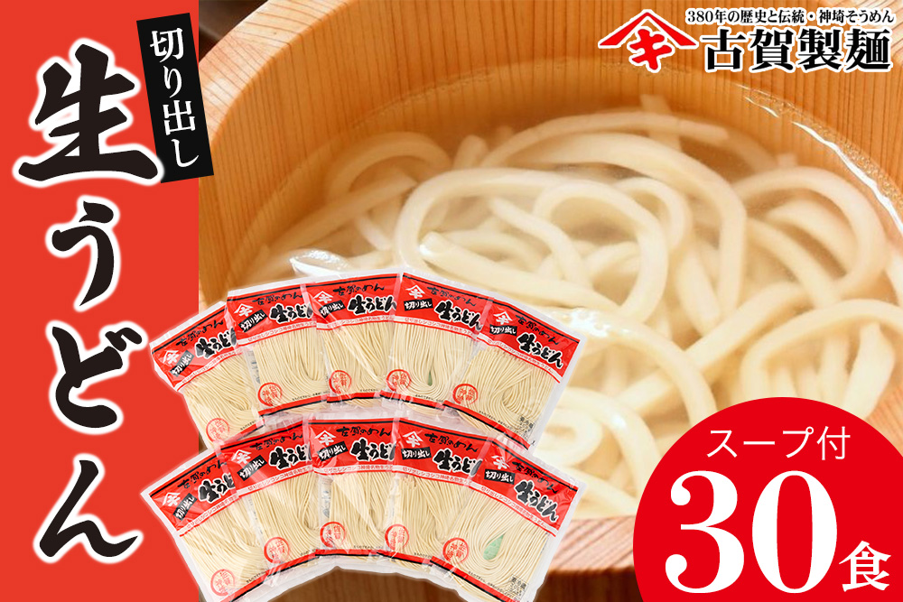 ふっくらモチモチ神埼生うどん 10袋入 【麺 うどん 生うどん 釜揚げうどん】(H014145)
