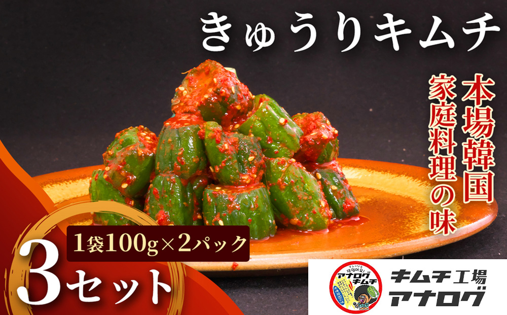 熟成秘伝のオイ(きゅうり)キムチ(100g×6パック)【きゅうりキムチ 発酵キムチ 本格キムチ 国産手作り ご飯のお供 国産きゅうり 九州産 旨辛 特製ダレ】(H104196)