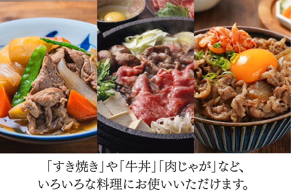 佐賀牛 贅沢 切り落とし 600g【A4～A5ランク】【すき焼き しゃぶしゃぶ 牛丼 A5 A4 希少 国産和牛 牛肉 肉 牛】(H085208)