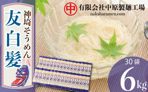 神埼そうめん「友白髪」 30袋入り 【麺 明治時代 お歳暮 お中元 ひやむぎ 冷麦 おみやげ お土産 夏】(H045103)