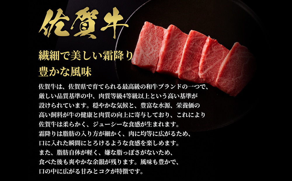 【和牛セレブ】佐賀牛 焼肉モモ・肩 300g【肉 ブランド牛 和牛 牛肉 ふるさと納税】(H113106)