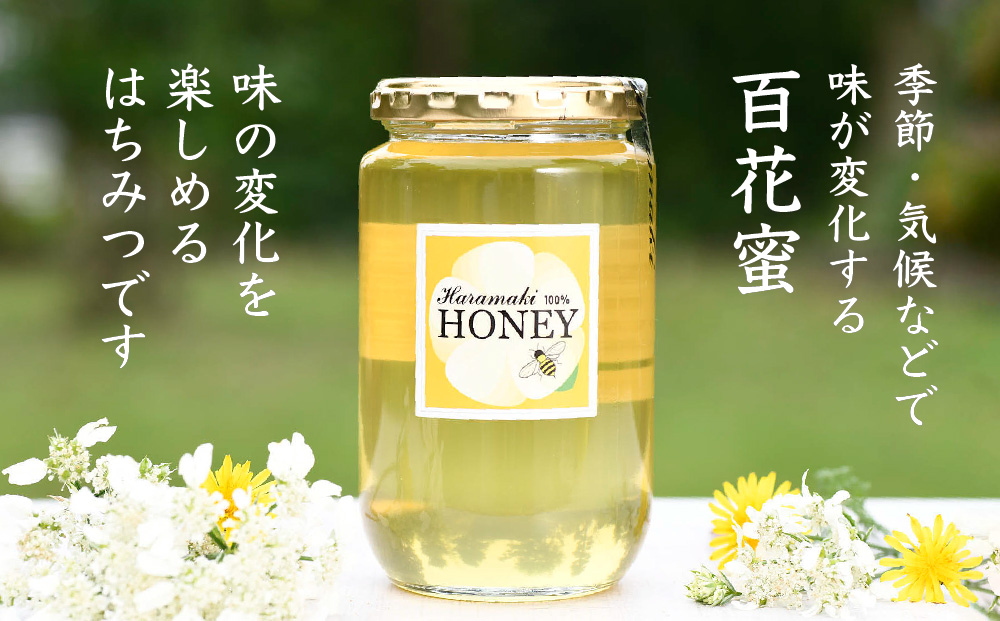 【数量限定】2024年産 国産天然蜂蜜 春の蜜1kg & 初夏の蜜1kg【合計2kg】 (H049121)