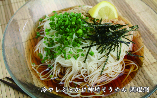 佐賀県特産品 神埼そうめん 10入 【そうめん 乾麺 神埼そうめん 特産品  御中元 夏 自家用】(H014124)