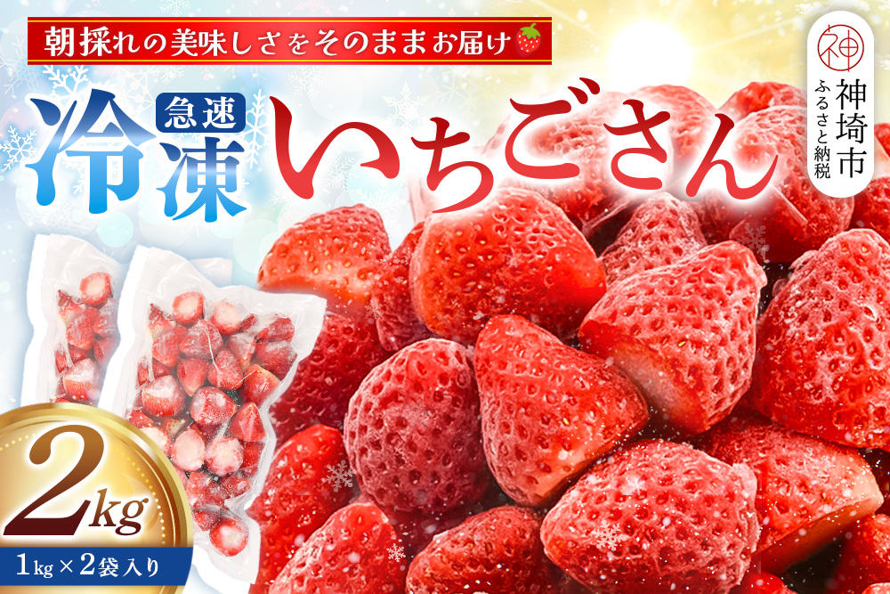 冷凍いちご 2kg(いちごさん)【佐賀県産 ブランド 冷凍いちご フレッシュ 冷凍フルーツ スムージー デザート お菓子作り シャーベット 甘い みずみずしい 無添加】(H126102)
