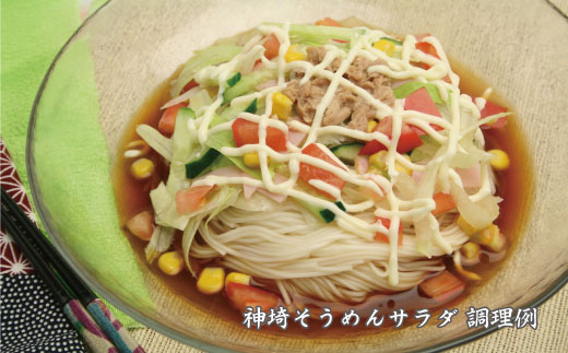 佐賀県特産品 神埼そうめん 3入 【そうめん 乾麺 佐賀県特産品 御中元 夏 自家用】(H014122)