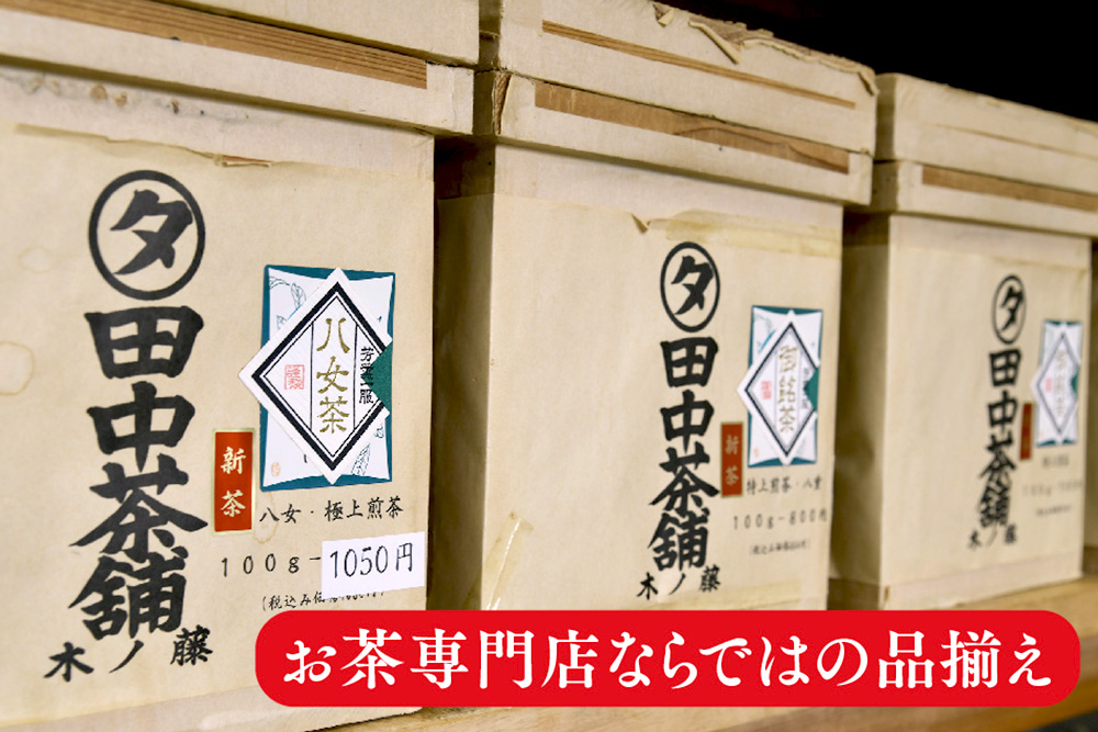 【毎月お届け12回】特上煎茶八重100g2本と季節の茶100g1本(急須付き) 【定期便 九州 お茶 緑茶 急須 フィルターインボトル 定期便】(H047113)