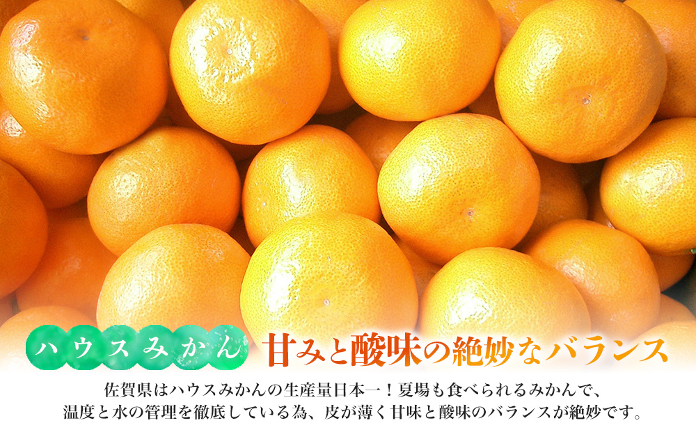【先行受付 令和8年6月より発送開始】佐賀県産『ハウスみかん』約5000g【果物 フルーツ みかん 柑橘 ビタミン デザート ふるさと納税】(H108116)