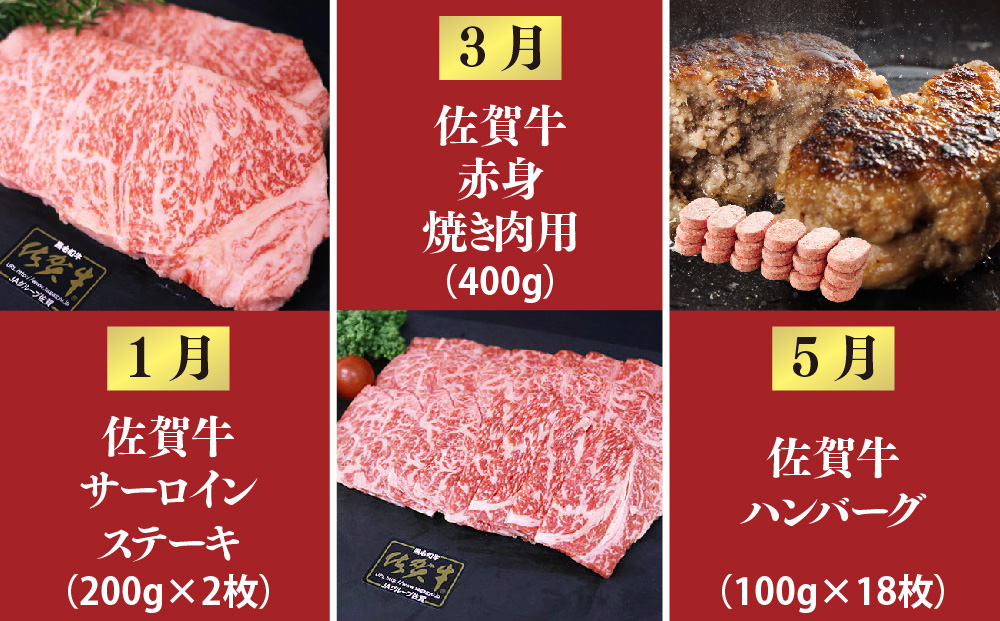 【奇数月発送 全6回定期便】ALL佐賀牛定期便【サーロインステーキ 赤身焼き肉 ハンバーグ カルビ焼肉 100%ハンバーグ ロースステーキ バラエティ豊か】(H118111)