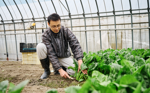 ほうれん草 約1kg（150g x 7袋）【ハウス栽培 産地直送 クール便 佐賀県脊振山麓産】(H091113)