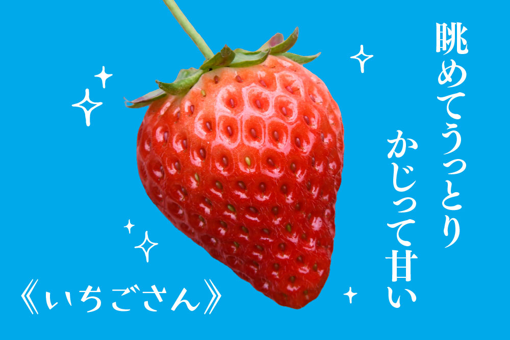 冷凍いちご 1kg(いちごさん)【佐賀県産 ブランド 冷凍いちご フレッシュ 冷凍フルーツ スムージー デザート お菓子作り シャーベット 甘い みずみずしい 無添加】(H126101)